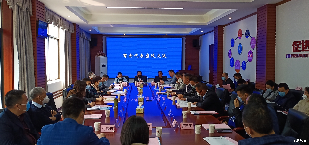 公司受邀出席长沙市工商联“共克时艰、共谋发展”春季恳谈会