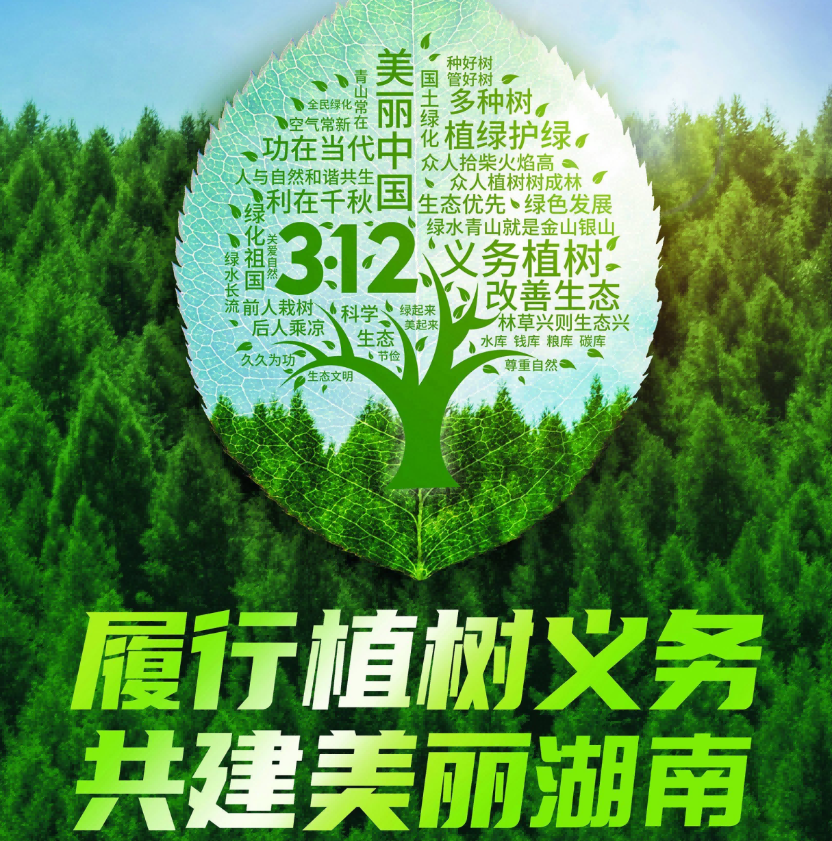 积极投身造林绿化实践 共同绘就美丽湖南画卷